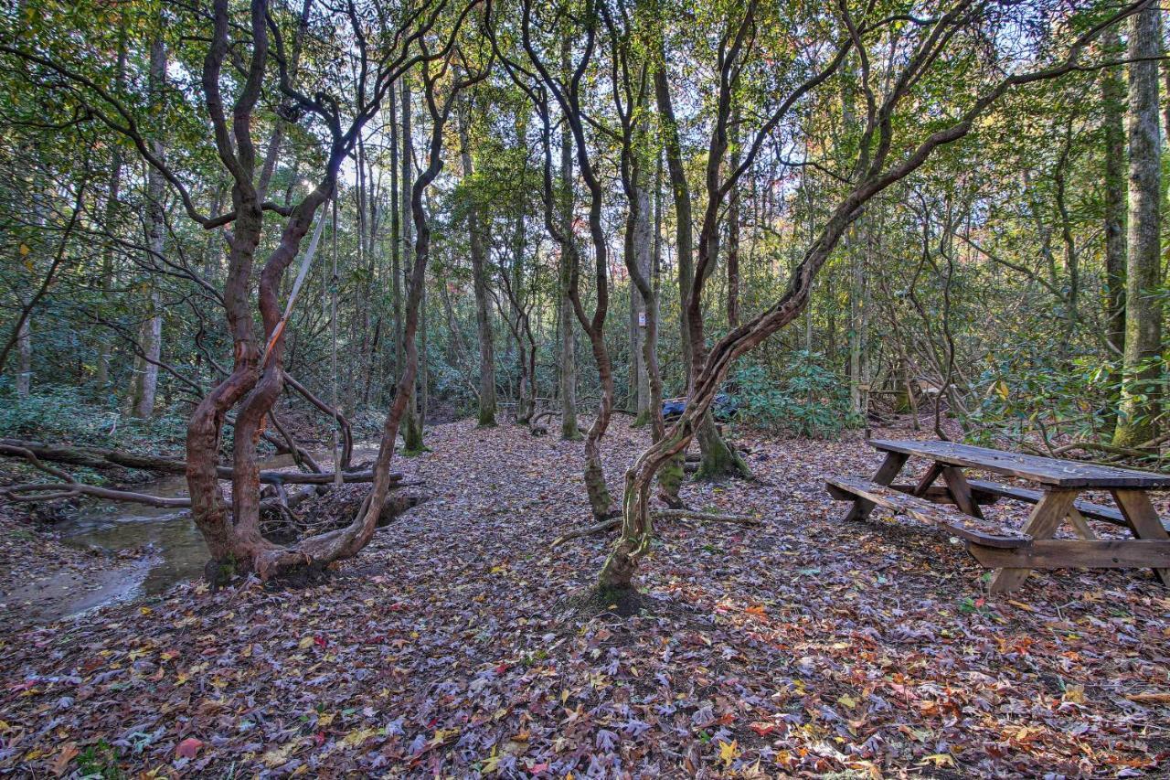 5-Acre North Georgia Mountain Retreat With Creek! Villa Sautee Nacoochee ภายนอก รูปภาพ
